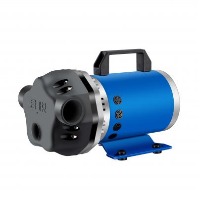 IM-500W02 Chemical Pump